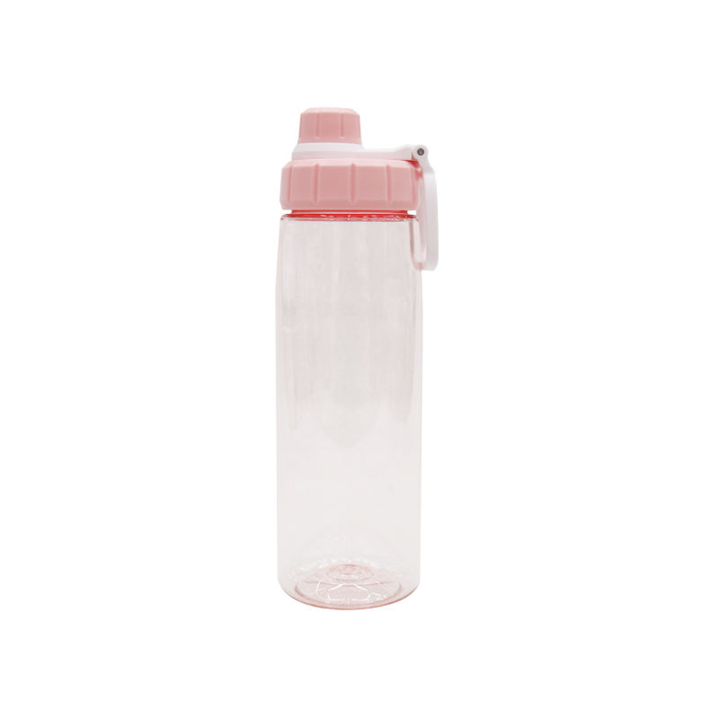 PETG 750ml handle high quality cup drinking popular standard mouth plastic water sport bottle BPA FREE wholesale customize