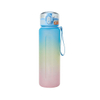 Custom Leakproof BPA Free 500 ml 750ml 1000ml Plastic Water Bottle Manufacturing