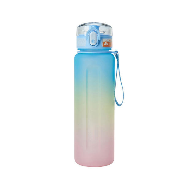 Custom Leakproof BPA Free 500 ml 750ml 1000ml Plastic Water Bottle Manufacturing