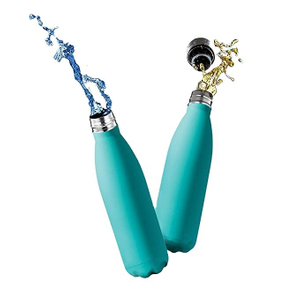 17oz Stainless Steel Water Bottles Double Wall Vacuum Reusable Water Bottles Leak Proof BPA-FREE Insulated Water Bottle