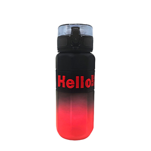 Wholesale Gradient Plastic Sports Water Bottle With Straw Cover Bicycle Water Bottle With Belt