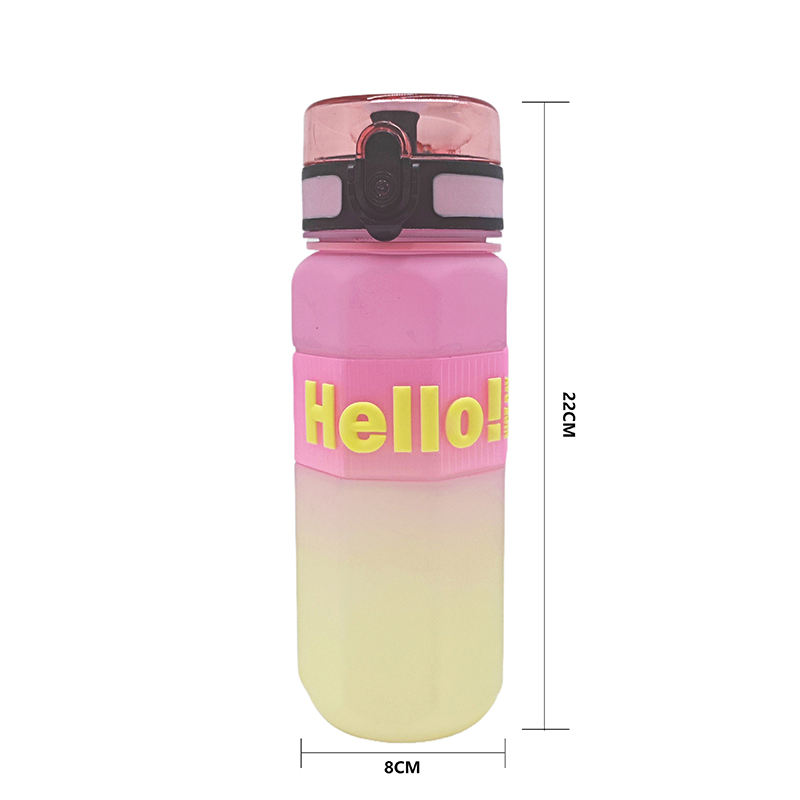 Wholesale Gradient Color Fitness 750ML BPA Free Outdoor Plastic Water Bottle
