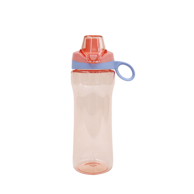 Wholesale Customized 450ml Outdoor Sports Water Cups Direct Drinking Style with a Lid Design BPA Free Plastic Water Bottle
