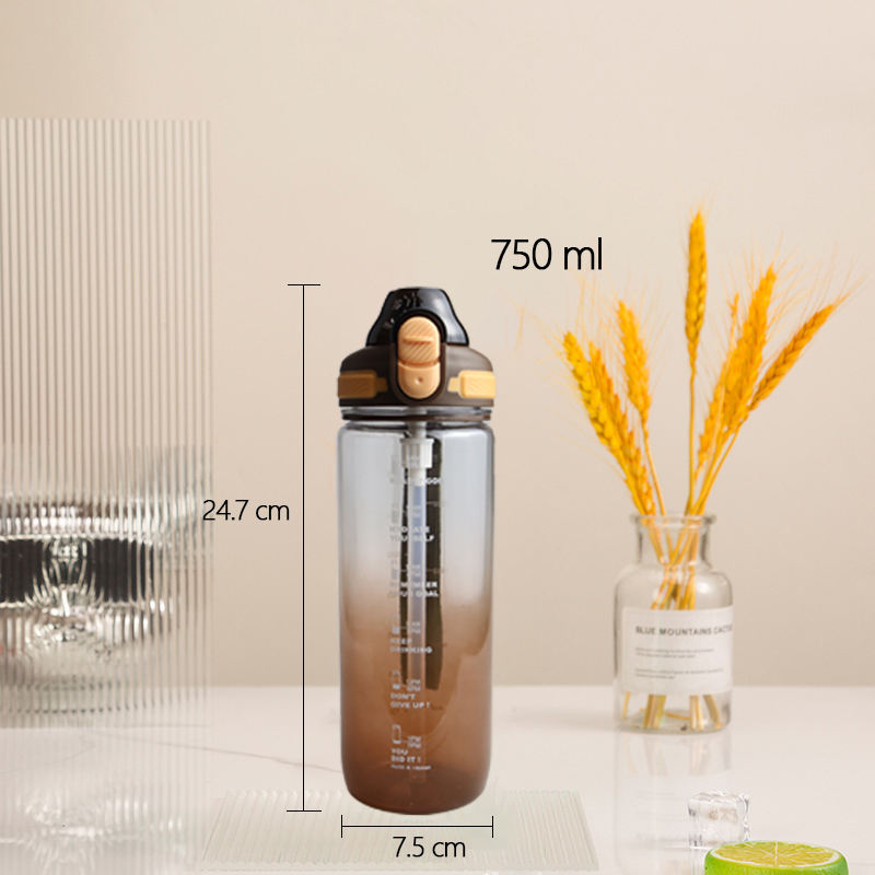 750Ml Custom Printed Color Gradient Fashion Fitness Plastic Sports Water Bottle With Time Line