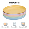 10" 25.4CM Big Paille De Ble Assiette Salad Cereal Biodegradable RPET Plastic Plate for Kitchen