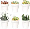 Reject Plastic Flowerpot for Garden, for Nurseries,bamboo Fiber Flowerpots