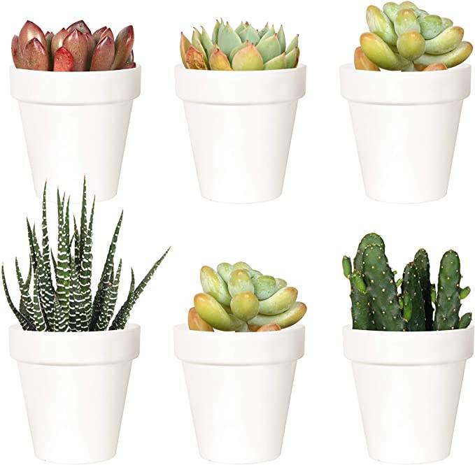 Reject Plastic Flowerpot for Garden, for Nurseries,bamboo Fiber Flowerpots