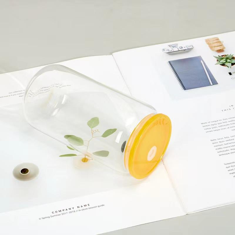 16Oz Cheap Stylish Modern Aesthetic Crystal Glass Water Bottles Cup With Long Straw