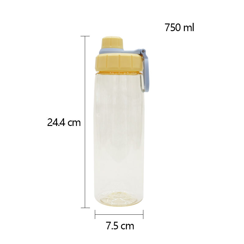 Leakproof Portable Transparent Clear Plastic Water Bottle Direct Drinking 750Ml With Handle