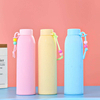 Custom Bpa Free Double Wall Anti Scald Plastic Shell and Glass Water Cup for Girls Glass Water Bottle With Silicone Handle
