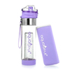 2025 Tritan Plastic Drink Water Bottle Fruit Infuser Bpa Free Lemon Infuser Water Bottle With Filter