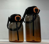 24oz 700ml High Value Water Bottle with Customized Patterns Leak Proof Straw Large Capacity Suitable for Children