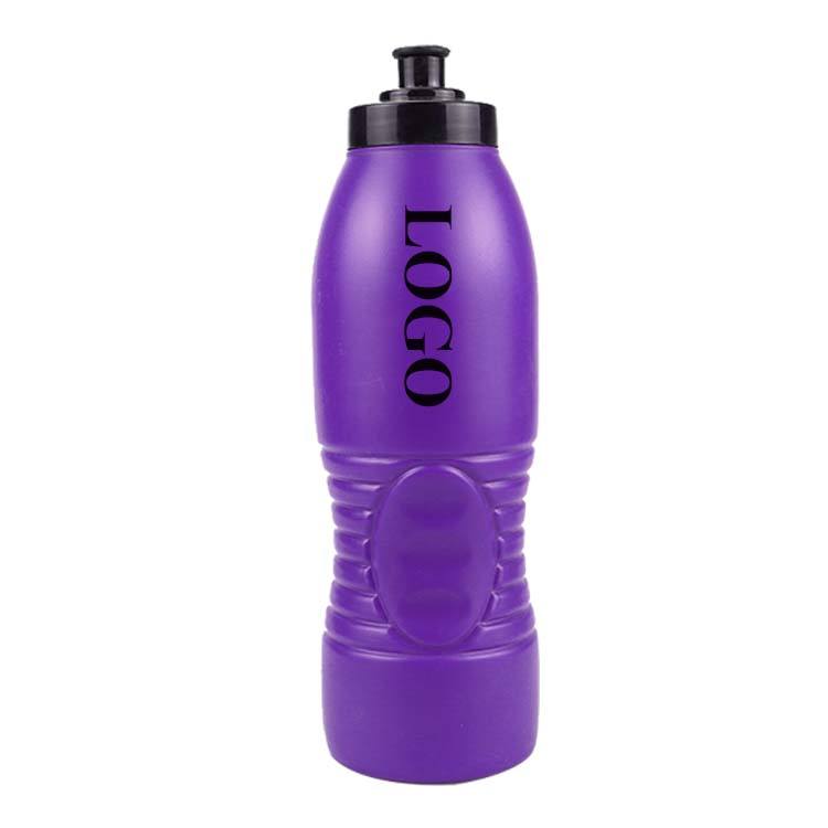 High Quality Cheap Plastic Drink Sports Bottle BPA Free Self Sealing Lid