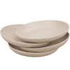 10" 25.4CM Big Paille De Ble Assiette Salad Cereal Biodegradable RPET Plastic Plate for Kitchen