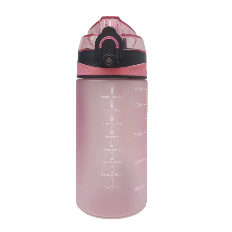 Bpa Free 450ml Tritan Plastic Kids Drinking Bottle Water Bottle With Straw